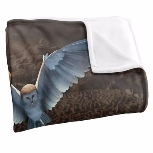 LOGOVISION Labyrinth Owl Logo Maze Super Soft Fleece Throw Blanket, Multicolour, W: 91 cm, D: 147 cm – 3