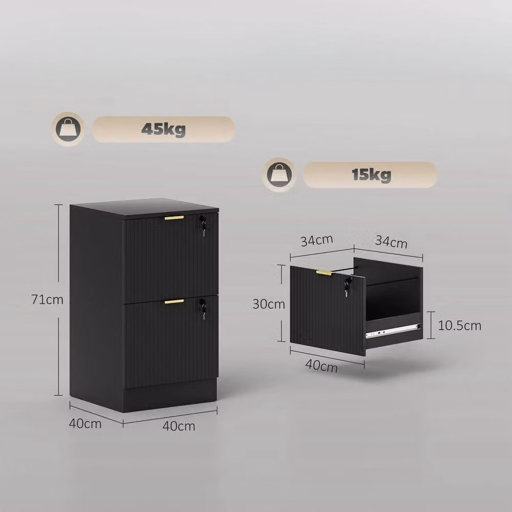 EONLION Black Metal Filing Cabinet with 2 Lockable Drawers – 2