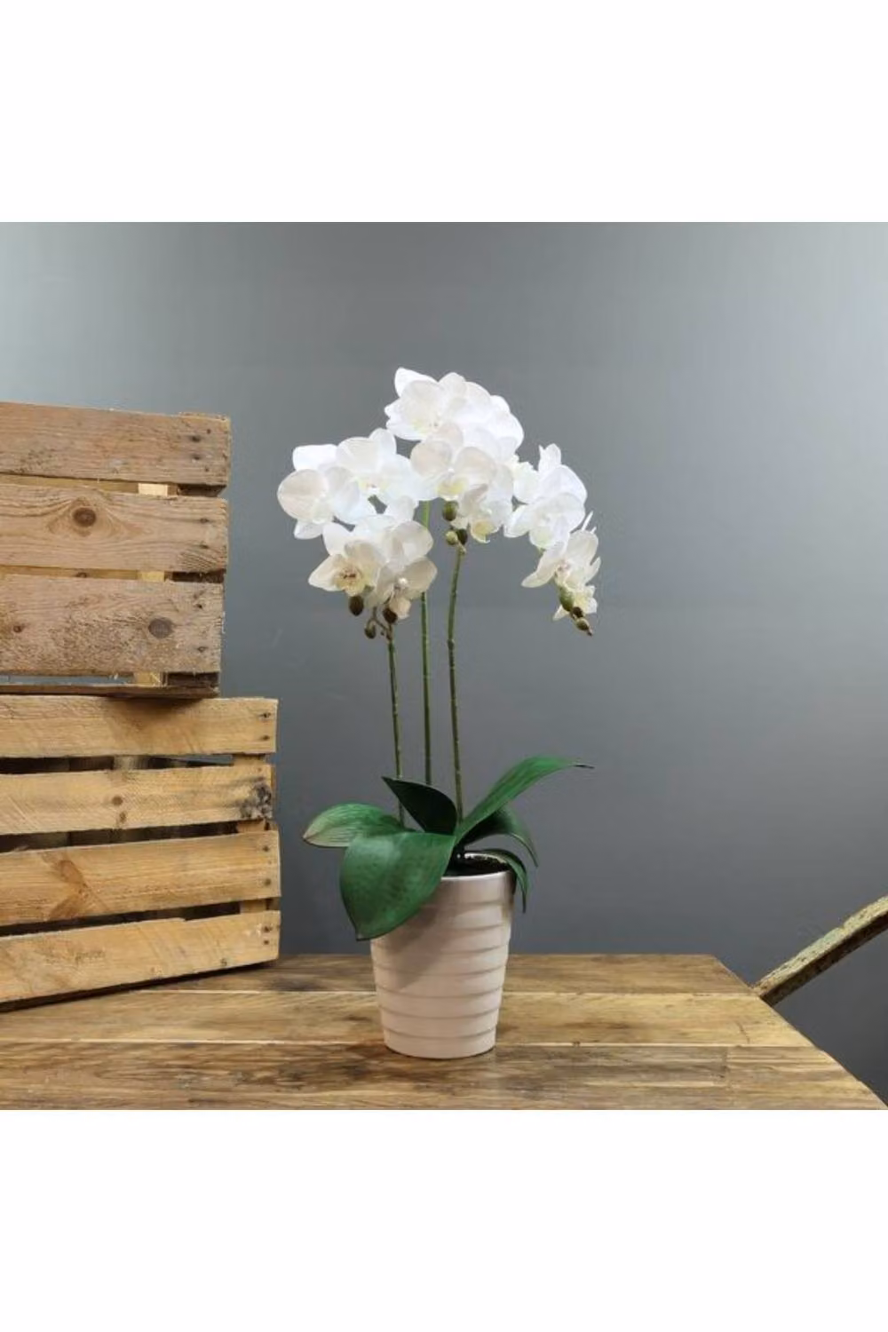KDMD Artificial White Phalaenopsis Orchid with 3 Stems in a Ceramic Planter – 2