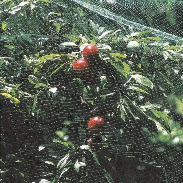 Primrose Green Plant Cover and Protection Net for Vegetable Gardens