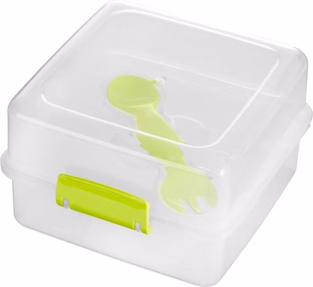 Orsina Leakproof Organised Lunch Box with Dividers and Cutlery, Transparent and Green