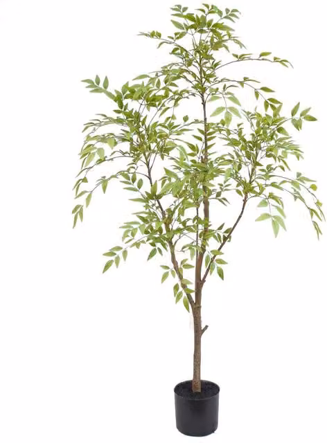 Leaf UK XL Luxury Artificial Nandina Tree in Green and Black, Height: 150 cm