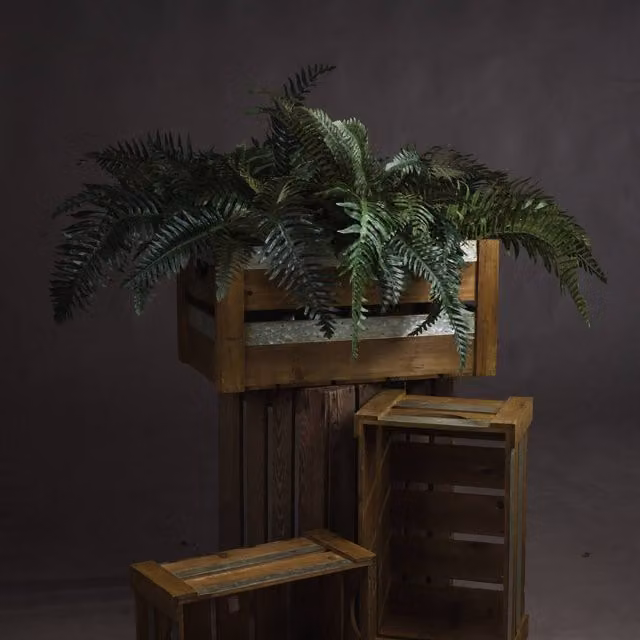 KDMK Fern Bunch Natural Greenery in Green