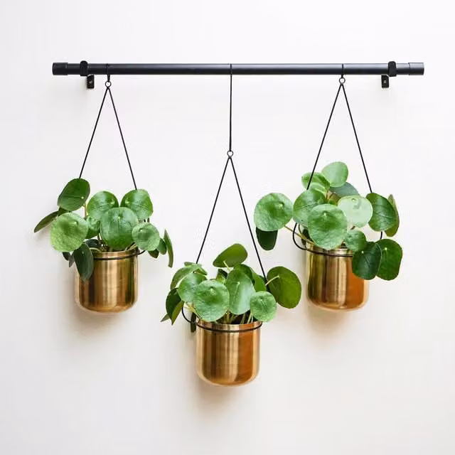 Ivyline Linear Rectangular Hanging Metal Planters in Black and Gold