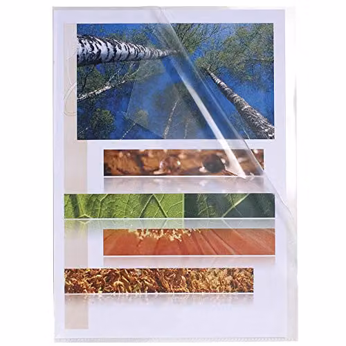 Exacompta 100 Pack A4 Plastic Cut Flush Folders in Transparent Crystal, 120 micron