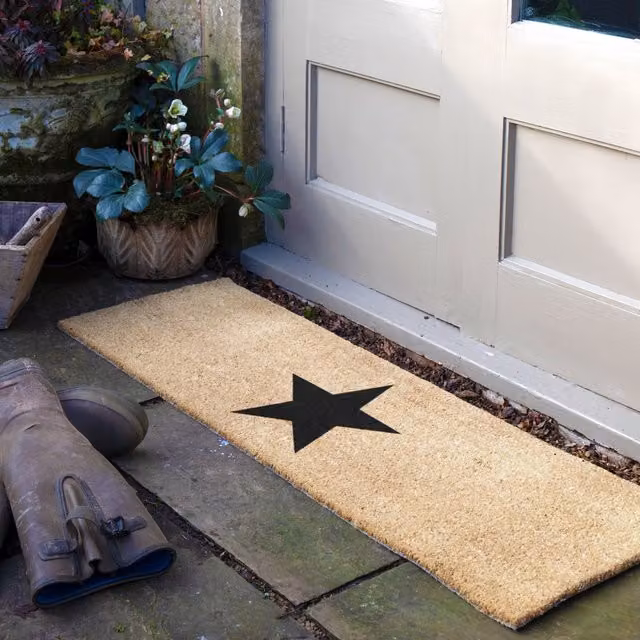Artsy Mats Star Patio Doormat in Beige, W/D/H: 120 x 40 x 1 cm – 1