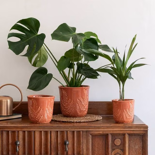 Ivyline Kew Embossed Fern Ceramic Planter in Orange, H17 x D18 cm – 1