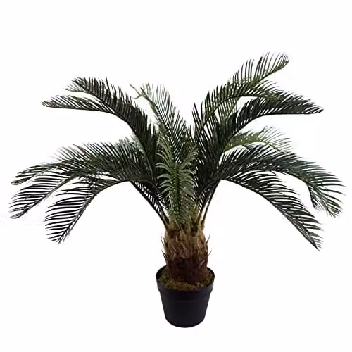 Leaf Design UK 80cm Artificial Tropical Cycas Palm Plant in Green and Black – 1