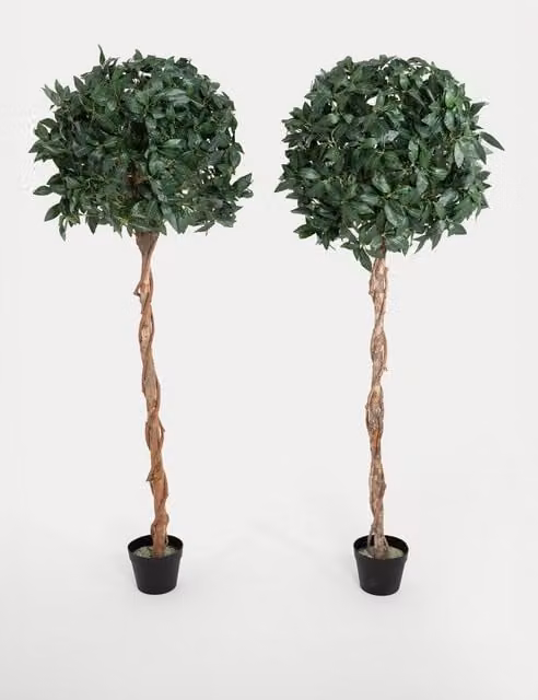 Blooming Artificial Set of 2 Tall Bay Trees in Round Pots, Green, Height: 152.4 cm