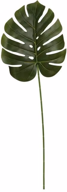 KDMD Artificial Monstera Leaf Stem, 3 Pack, Green, Height: 76 cm