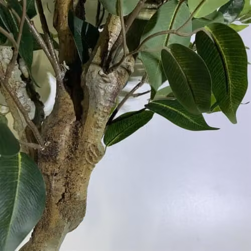 Leaf Premium Artificial Ficus Twist Tree with Gold Planter in Green, Height: 100 cm – 2