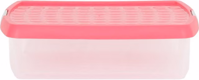 Wham A4 Bubblegum Document Box in Pink
