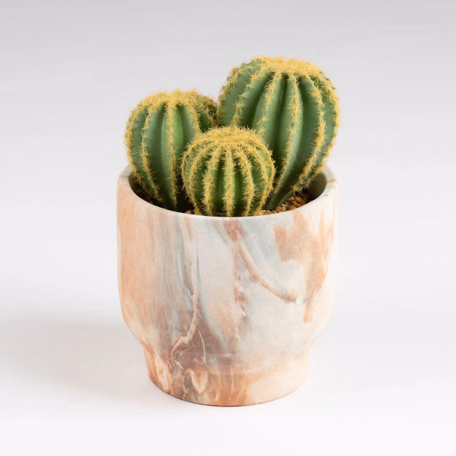 Scottish Everlastings Ltd Green Succulent Cactus in a Round Concrete Pot – 2