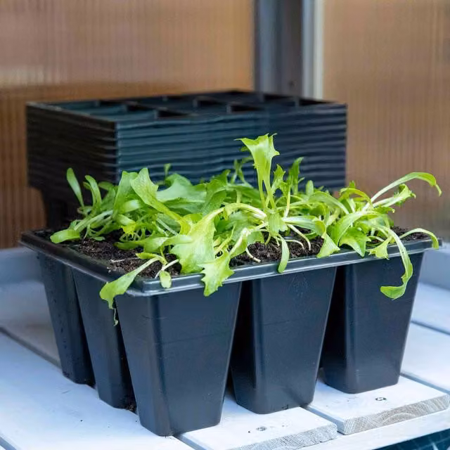 Marshalls Garden 12 x 9 Cell Deep Seed Tray Planter in Green or Black