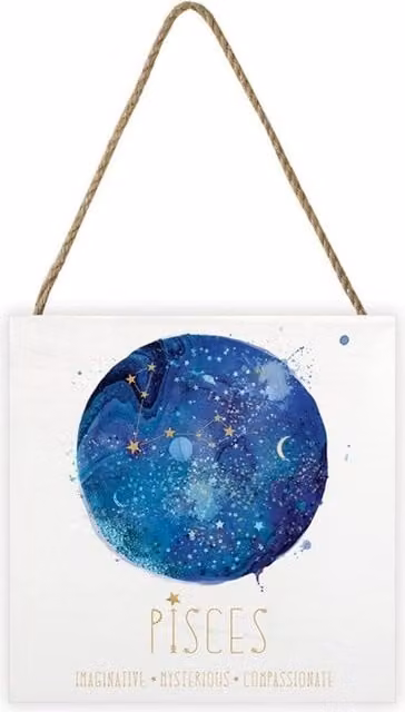 Summer Thornton Pisces White Abstract Wooden Wall Plaque