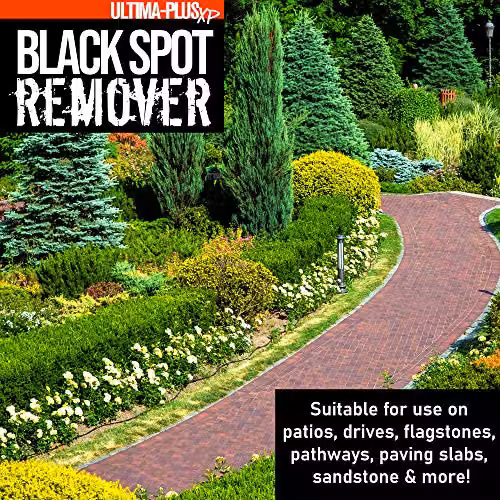 Ultima-Plus XP Black Spot Remover for Patios and Paving, 10 Litres – 2