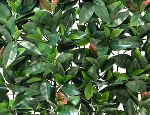 Primrose London Green Artificial Hedge Panels, Pack of 4, W/H: 50 x 50 cm – 3