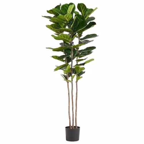 Botanik UK Premium Green Artificial Fiddle Fig Tree, Height: 180 cm