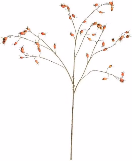 KDMD Botanica Rose Hip Branch in Orange, Height: 106 cm