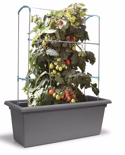 Gardenico Magnus Self-Watering Mobile Living Wall Planter Trough in Stone Grey, W79 x D38 x H39 cm