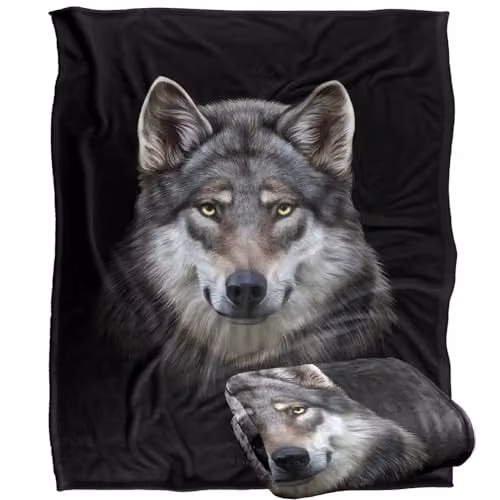 JQ Licensing Grey Wolf Head Super Soft Fleece Throw Blanket, W: 152 cm, D: 127 cm – 1