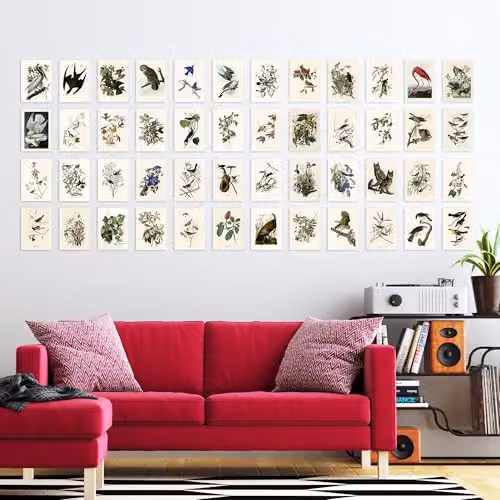 Artery8 John James Audubon Birds of America Multicolour Paper Poster Illustration, W: 25.0 cm, H: 14.8 cm – 2