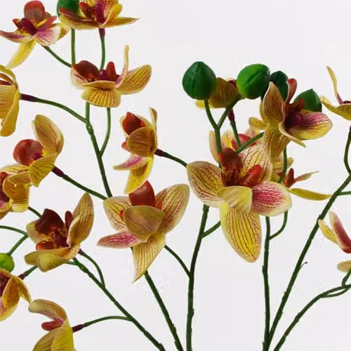 Leaf Design UK Pink and Yellow Artificial Orchid in a Black Ceramic Planter, Height: 43 cm – 2
