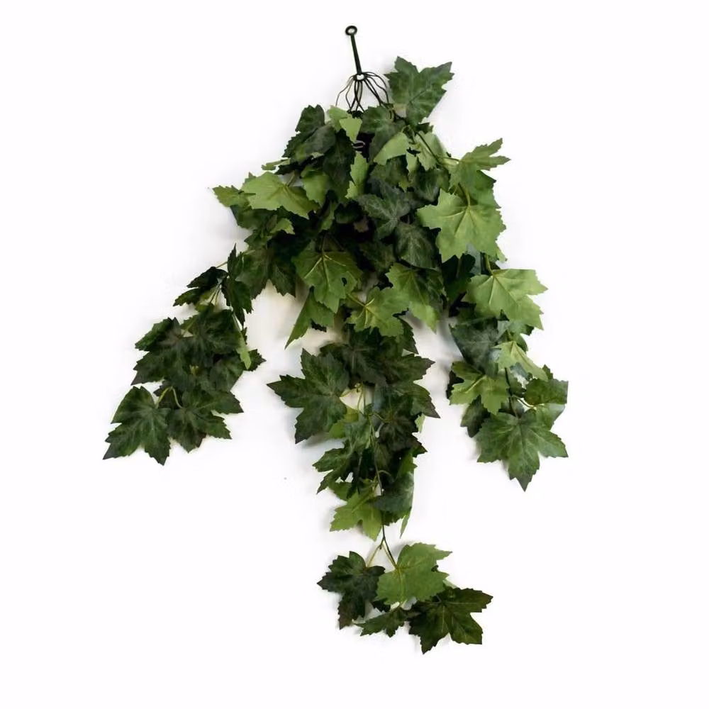 Botanik Green Artificial Trailing Grape Ivy Hanging Plant, 70 cm – 2