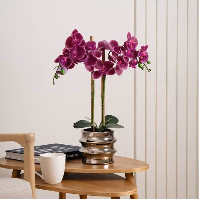 Scottish Everlastings Ltd Pink Orchid in a Silver Ceramic Pot, Height: 54 cm – 1