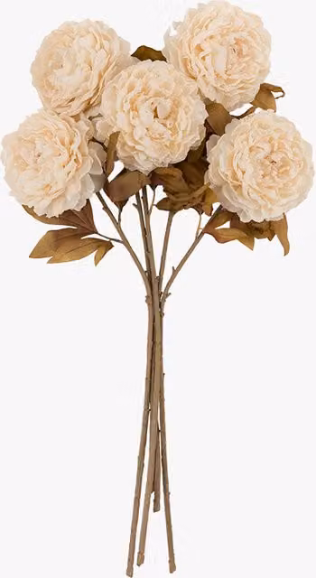 Perch & Parrow Beige Faux Peony Floral Stems, Set of 5
