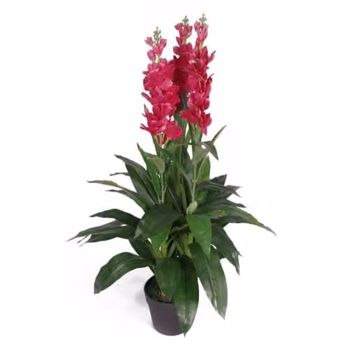 Leaf LEAF-7076 Extra Large Artificial Dark Pink Cymbidium Orchid Plant in a Black Plastic Pot, Height: 90 cm