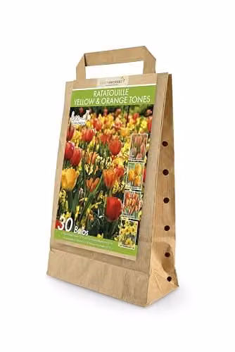 GreenBrokers Ratatouille Spring Flower Bulbs, 30 x Yellow and Orange Tulipas and Narcissus Martinette