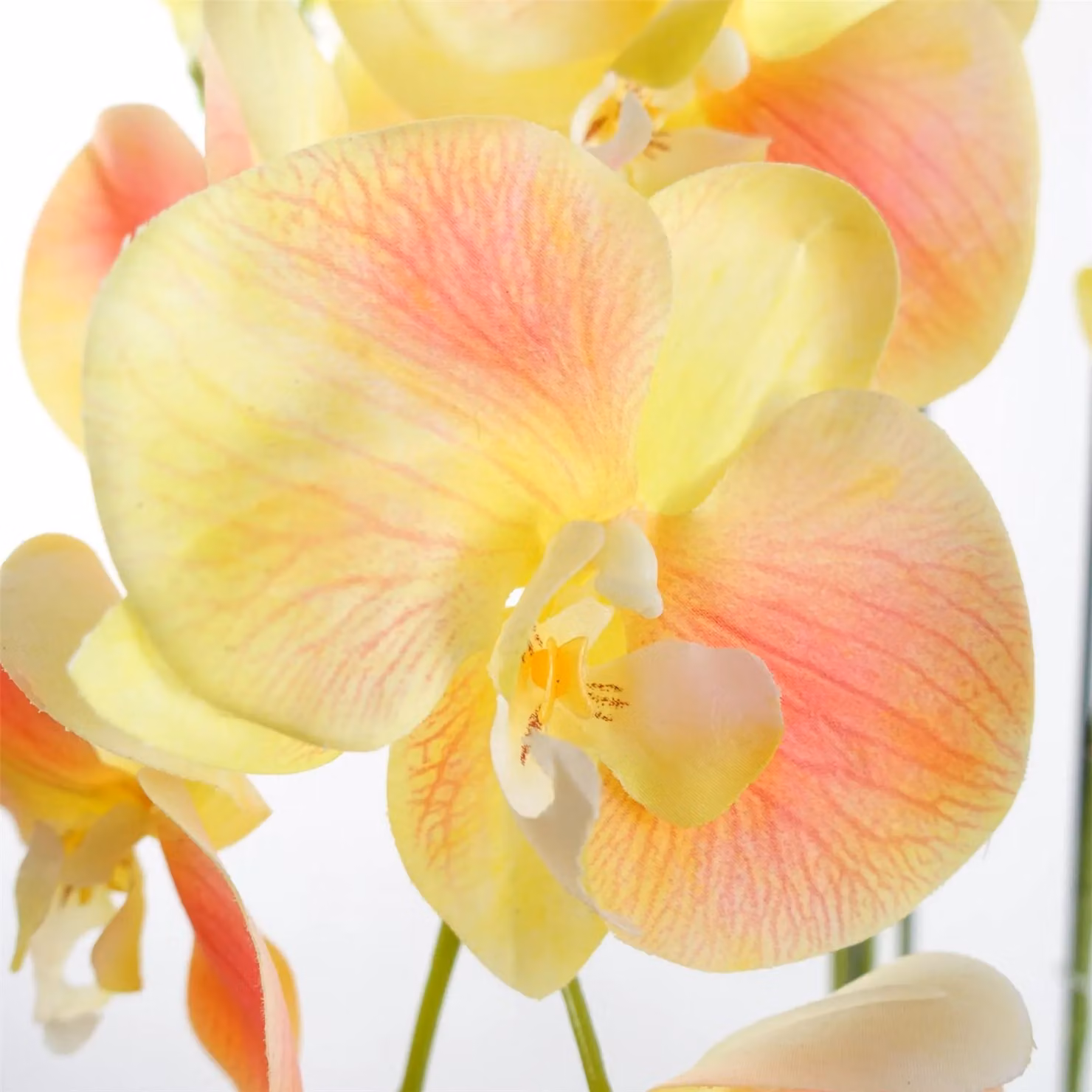 Leaf Design UK Real Touch Artificial Yellow Orchid Plant in Green Pot, Height: 110 cm – 3