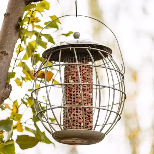 Happy Beaks Orbital Squirrel Proof Bird Feeder in Sage Green Steel Cage for Fat Balls, Peanuts, Seeds and Suet – 2