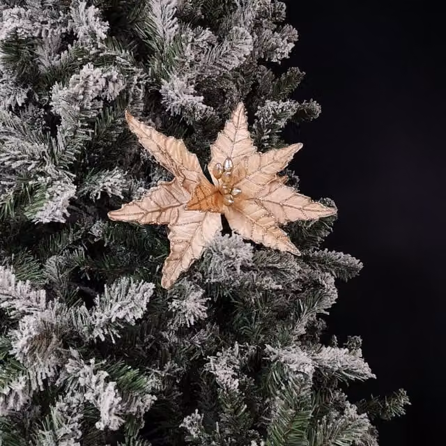 Samuel Alexander Champagne Velvet Poinsettia Stem with Glitter Christmas Decoration in Beige, 50 cm
