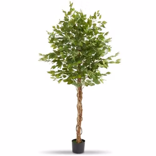 tectake Artificial Ficus Tree with Real Wood Trunk and Green Leaves, Height: 180 cm – 1