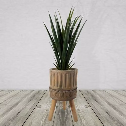 Leaf Extra Large Cachepot Floral Tabletop Planters – 2