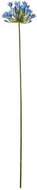 Lemon Pavilion Furniture and Decor Blue Agapanthus Single Stem Plastic Flower W: 15 cm, D: 15 cm, H: 75 cm – 1