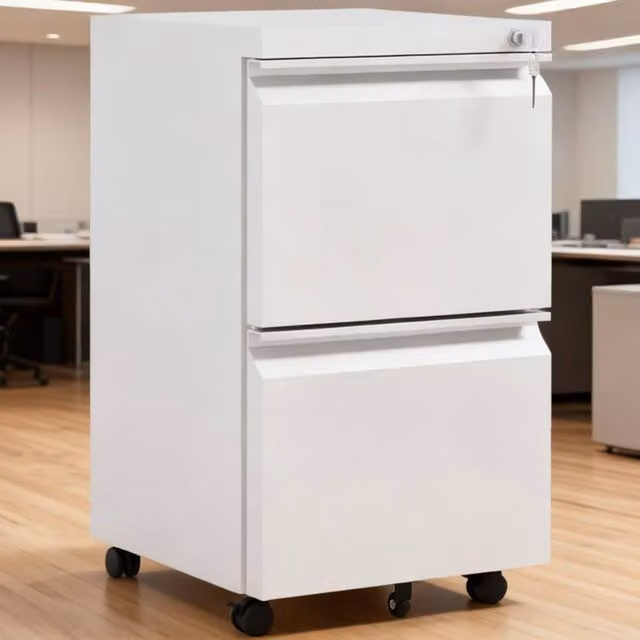 ERGOVEXA 2-Drawer Mobile Filing Cabinet in White, Metal Steel Construction with Lock and Castors, A4 & Legal Size