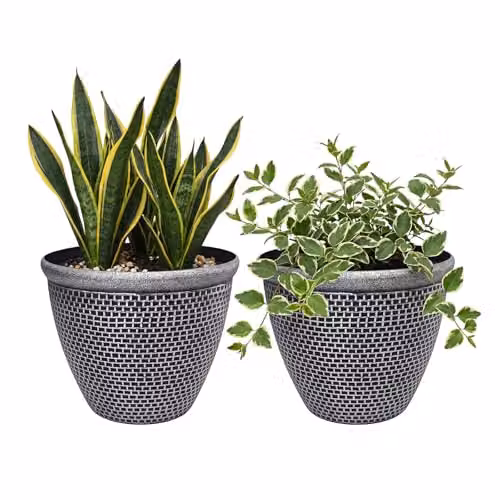 Toque 2-Pack Plastic Garden Planters with Drainage Holes, Diameter: 30 cm, Black and Grey