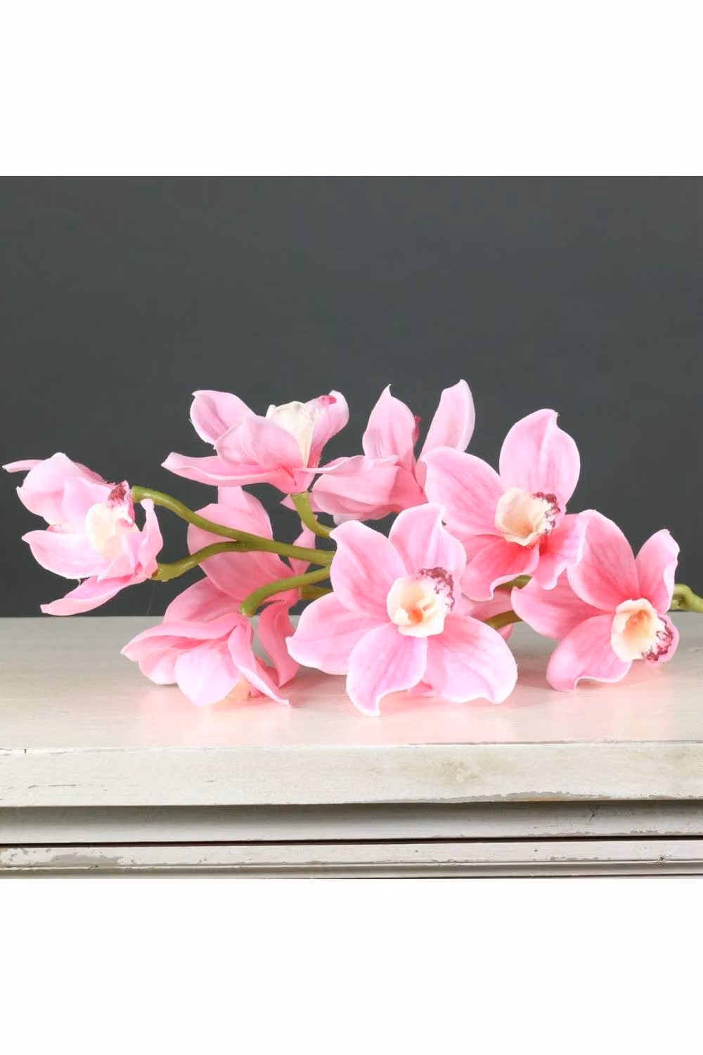 KDMD Tintagel Cymbidium Orchid, Pink, Organic Tabletop Floral Plant – 2