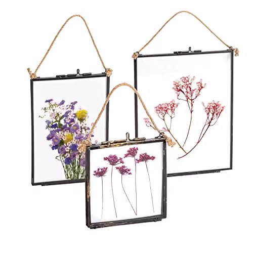 Nicola Spring 3-Piece Hanging Metal and Glass Photo Frame Gallery Set in Black Vintage Style