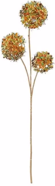 KDMD Russet Green Cassia Fistula Potted Plant, Height: 98 cm