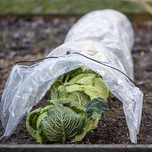 Garden Gear Transparent PE Greenhouse Grow Tunnel with Galvanised Steel Hoops, W/H/D: 300 x 45 x 45 cm – 3