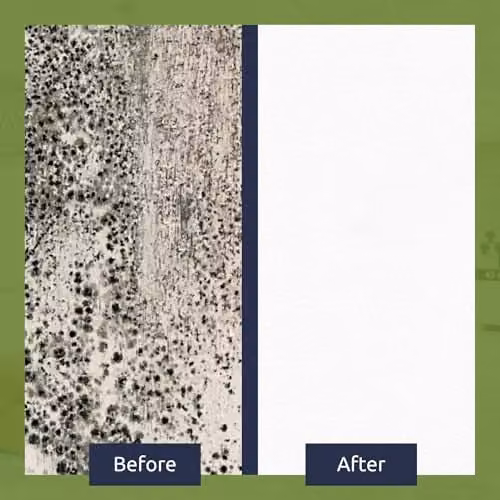 Stonecare4u Anti Mould Paint in Pale Slate, 5 Litre, for Walls and Ceilings – 1