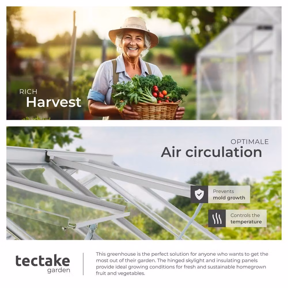 tectake Aluminium Polycarbonate Greenhouse with Sliding Windows in Transparent, W/D/H: 375 x 185 x 195 cm – 4