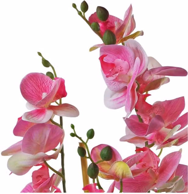 Dyzi Pink Artificial Orchid in a Black Ceramic Planter, Height: 70 cm