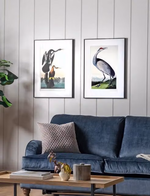 Gallery Direct Set of 2 Exotic Fowl Study Multicolour Rectangular Framed Art Prints