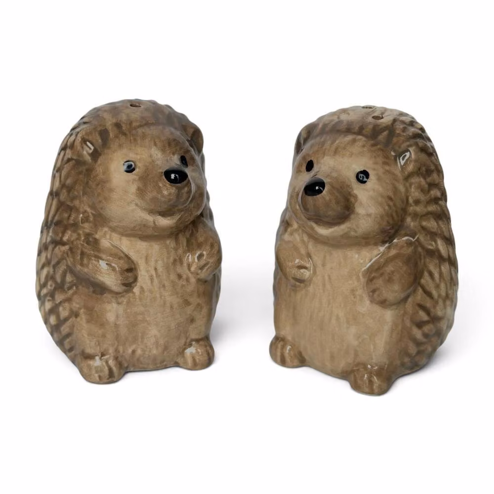 Animal Crackers Hedgehog Ceramic Salt and Pepper Shaker Set in Brown – 2