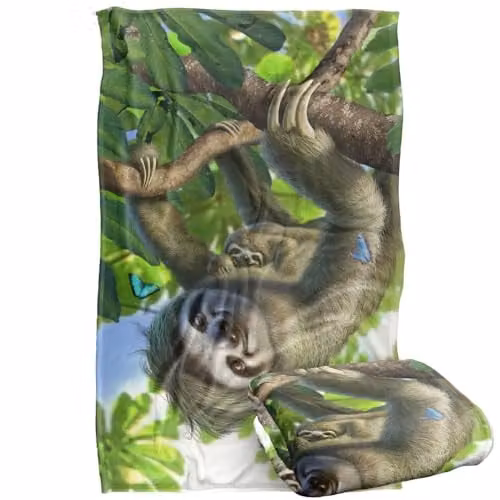 JQ Licensing Jlo Sloth Family Butterlies Super Soft Snuggle Blanket, Multicolour, W/D/H: 91 x 147 cm